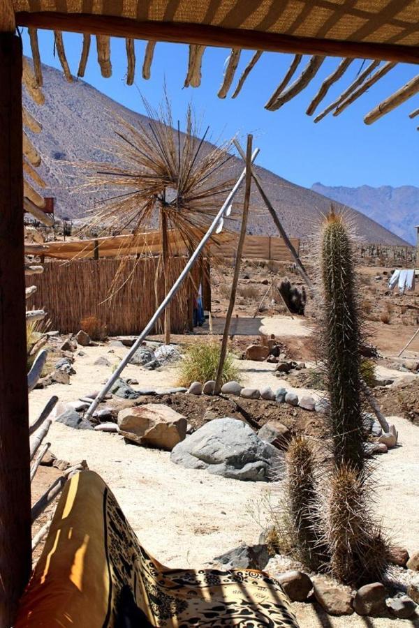 Campo De Cielo Mamalluca Valle De Elqui Викунья Экстерьер фото