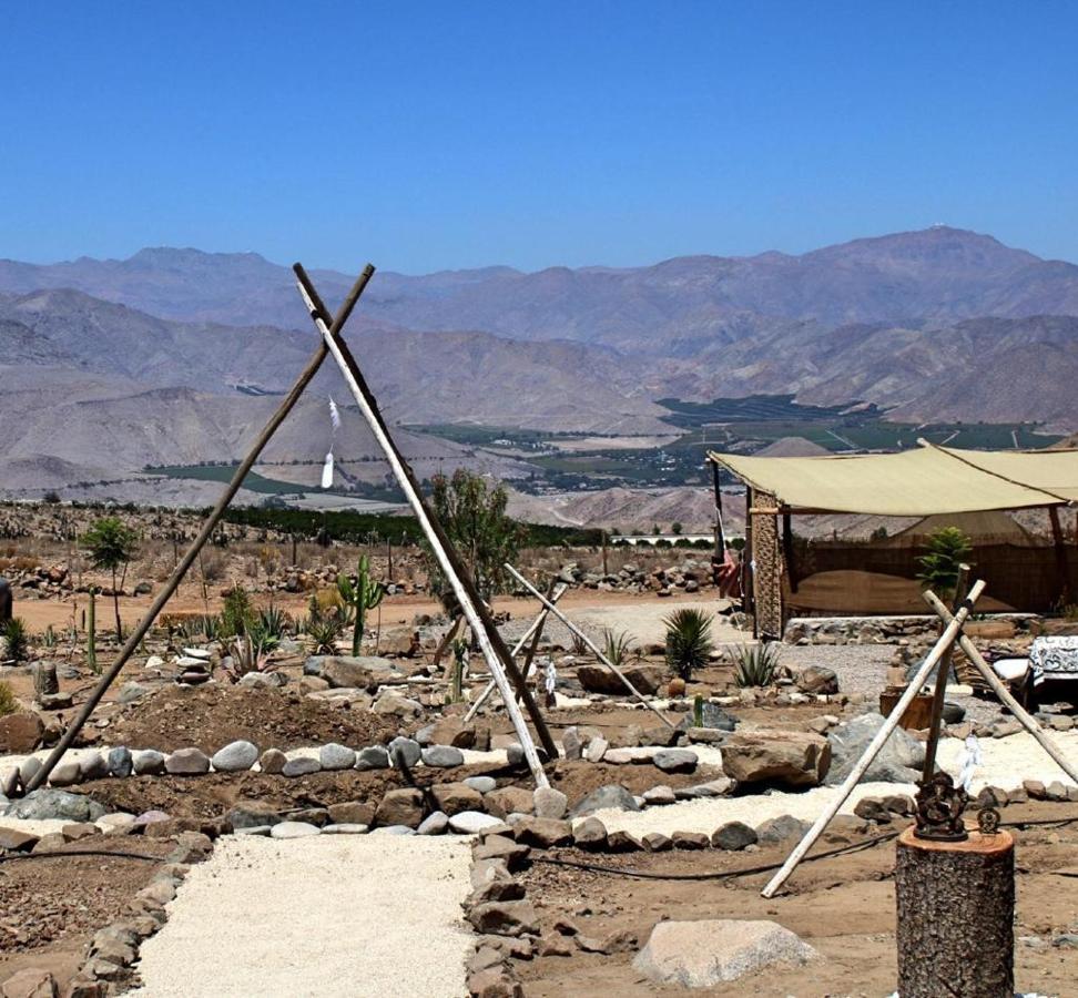 Campo De Cielo Mamalluca Valle De Elqui Викунья Экстерьер фото