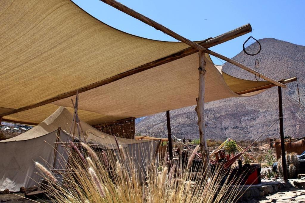 Campo De Cielo Mamalluca Valle De Elqui Викунья Экстерьер фото