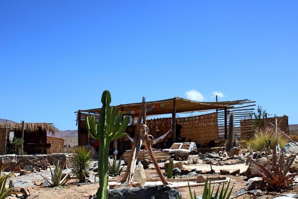 Campo De Cielo Mamalluca Valle De Elqui Викунья Экстерьер фото