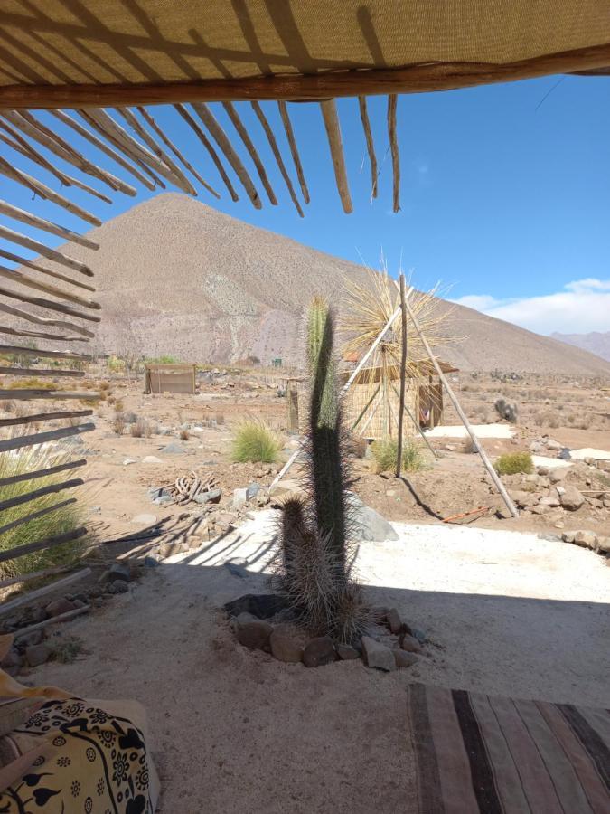 Campo De Cielo Mamalluca Valle De Elqui Викунья Экстерьер фото