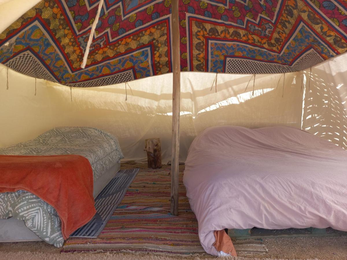 Campo De Cielo Mamalluca Valle De Elqui Викунья Экстерьер фото